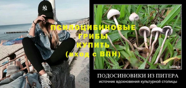 COCAINE Богданович