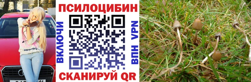Псилоцибиновые грибы прущие грибы  Керчь 